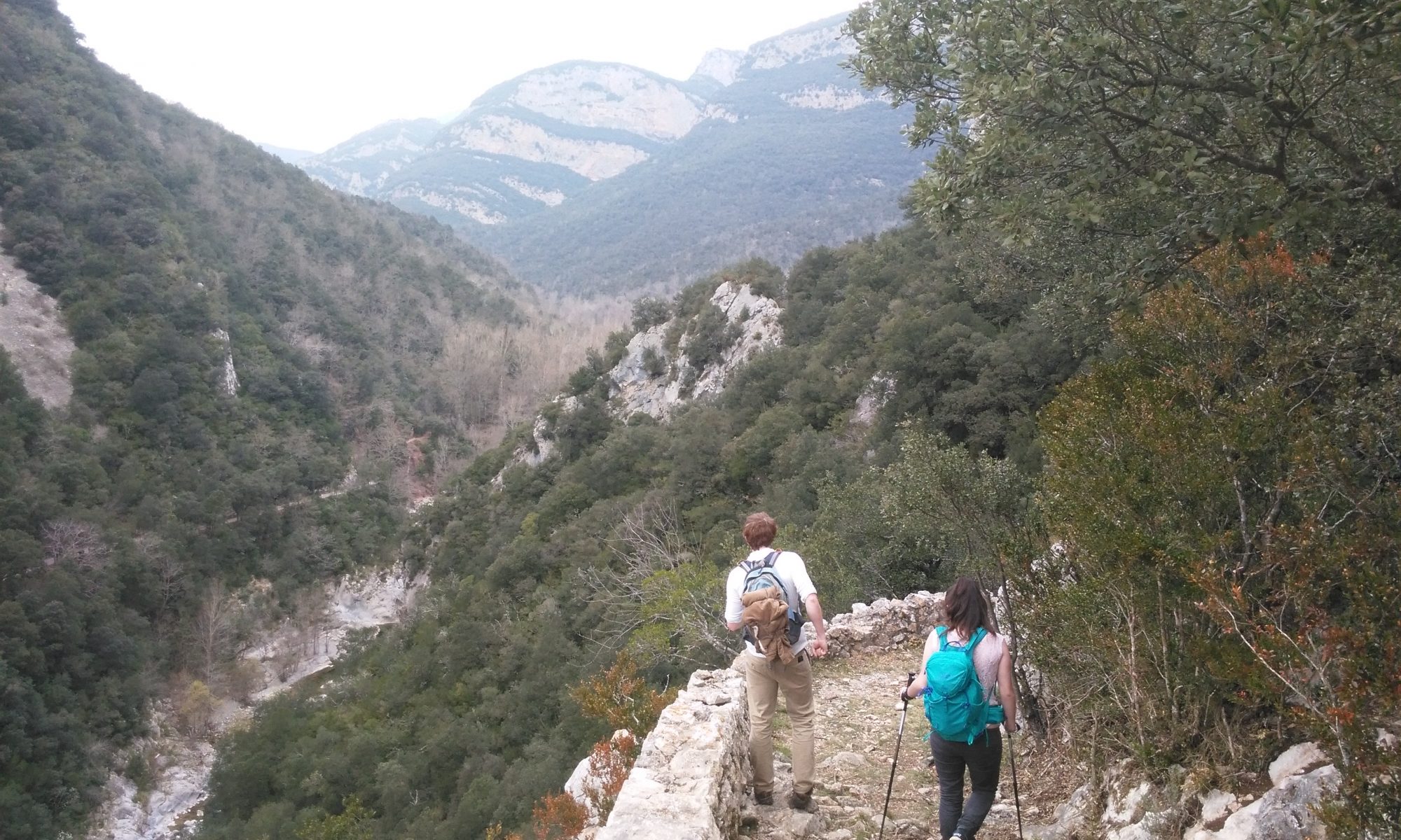 El pas dels liberals, Montagut i Oix