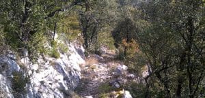 Camí de la vall d'Escales, Montagut i Oix