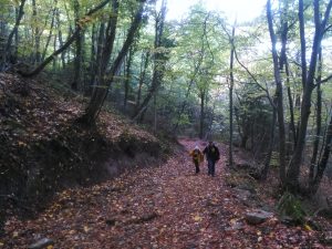 La Fageda Fosca, Santa Pau
