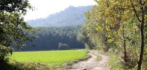 Camí, Porqueres