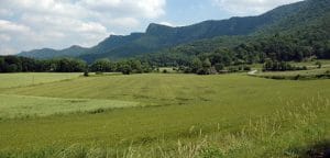 La plana, Vall d'en Bas