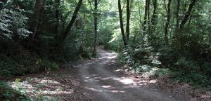 La vall del Corb, Les Preses