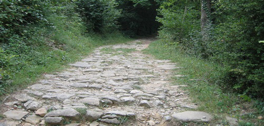 <strong>L’EXÈRCIT D’ANNÍBAL</strong><br>