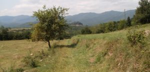 Calçada romana del Capsacosta, Via Anna, Vall de Bianya