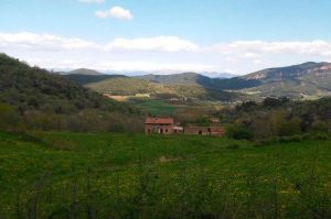Vistes abans d'endinsar-nos a la Fageda Fosca, Santa Pau