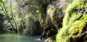 La riera de Cogolls al gorg del Molí de Murris, Les Planes d'Hostoles