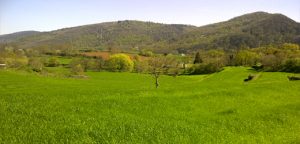 Volcà de la Canya, Sant Joan les Fonts