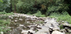 Pas sobre el riu Fluvià, Sant Joan les Fonts