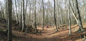 Fageda d'en Jordà, Santa Pau