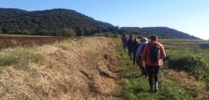 Ruta dels gorgs de Santa Pau, camí Sant Martí Vell